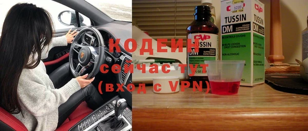 шишки Новодвинск